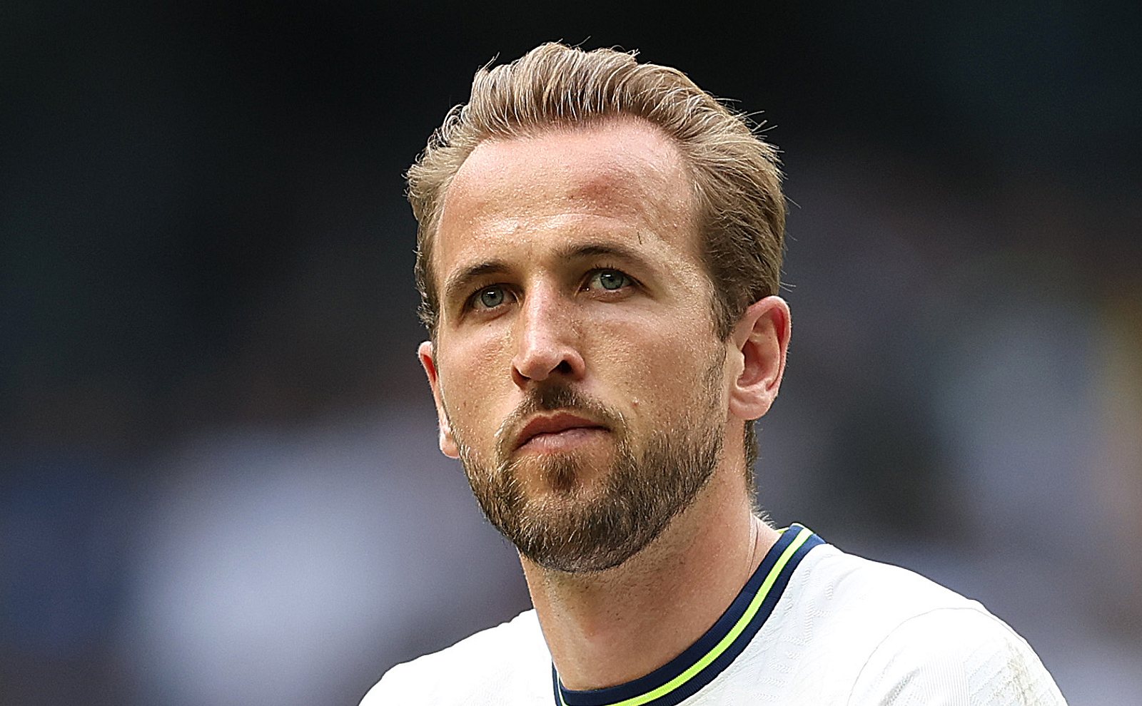 Harry Kane Zum Fc Bayern M Nchen Jetzt Wurde Sein Hammer Gehalt