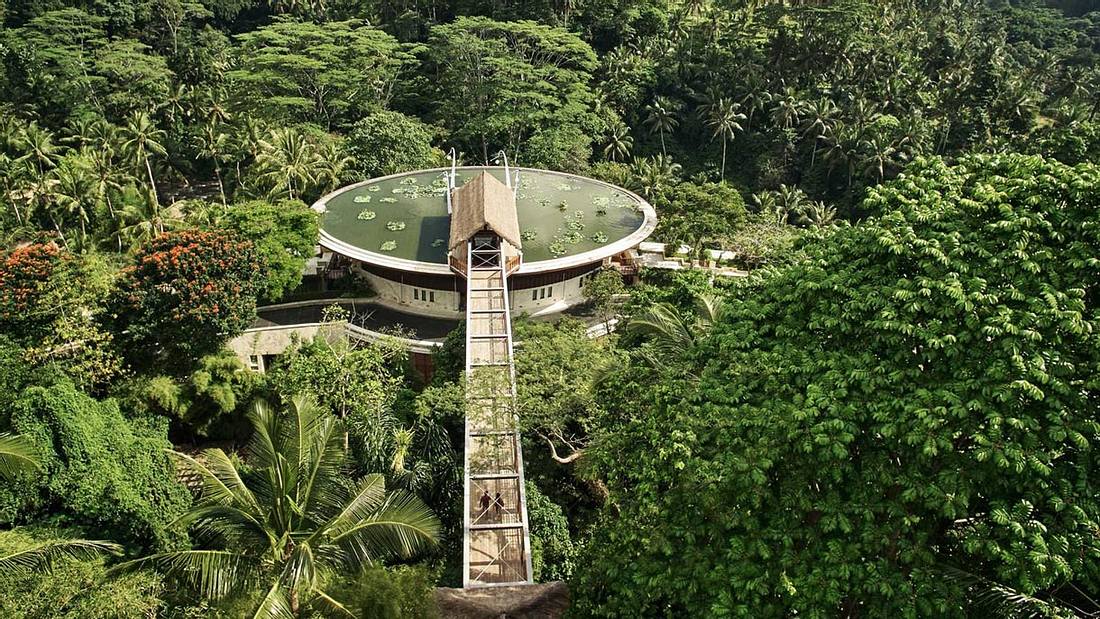 Der Sieger liegt mitten im Dschungel: Der Sieger: Das Four Seasons Resort auf Bali