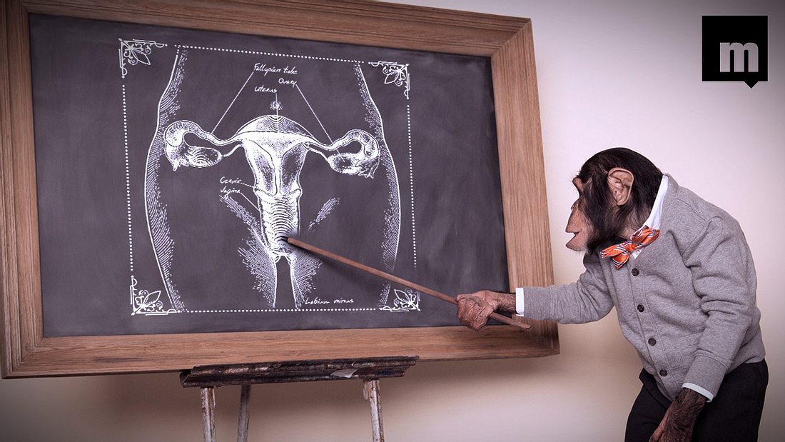 Diese 10 Dinge über Vaginas sollte jeder Mann kennen