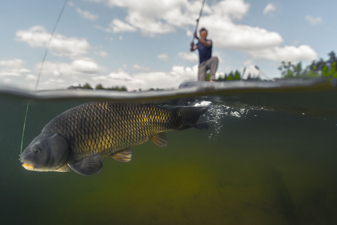 105 Kilo! Brite knackt KarpfenWeltrekord Männersache