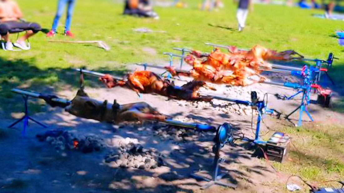12 Schafe gegrillt 12 Schafe gegrillt