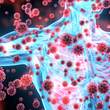 Coronavirus im menschlichen Körper - Foto: iStock/4X-image