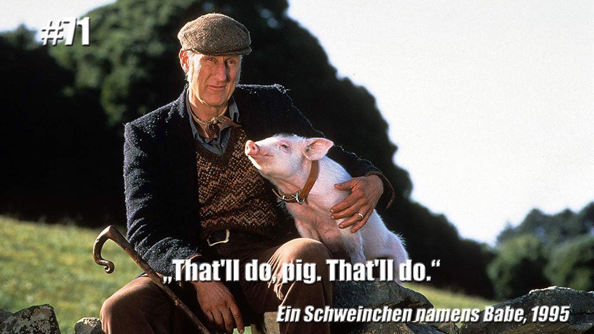Ein Schweinchen namens Babe (1995)