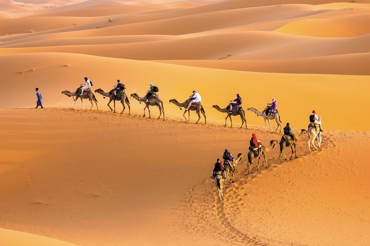 Kamel-Karawane in der Wüste