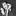 Adriano Celentano 1961 - Foto: Getty Images / Umberto Cicconi