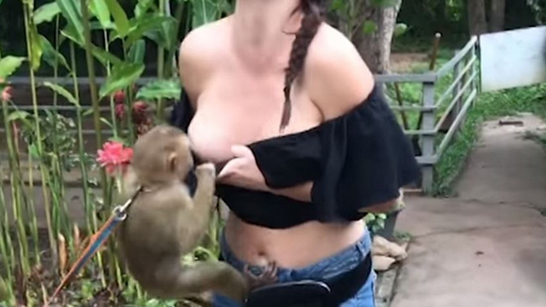Affengeil: Gieriger Primat belästigt hübsche Touristin