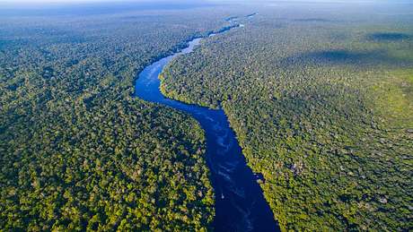 Der Amazonas in Brasilien - Foto: iStock / mantaphoto