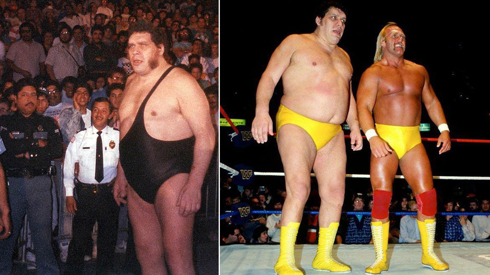 Andre the giant dick