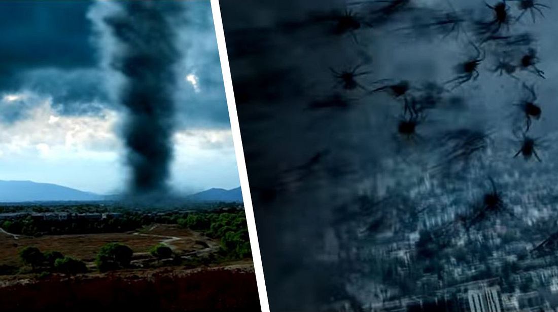Arachnado: Spinnen-Tornados kommen Arachnado: Spinnen-Tornados kommen