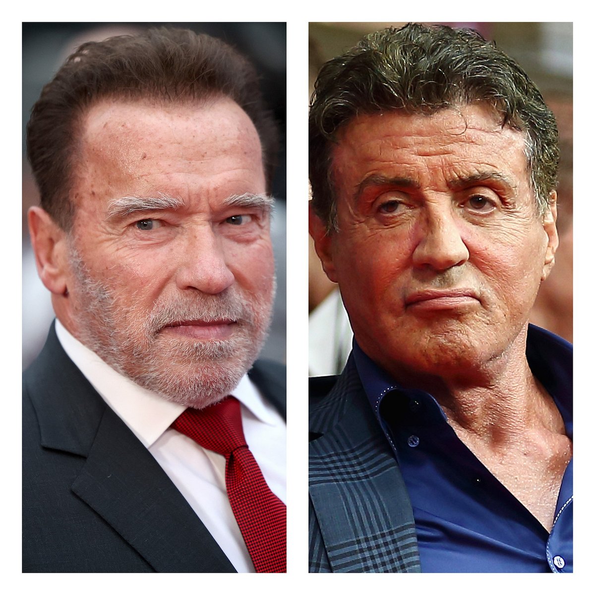 Arnold Schwarzenegger, Sylvester Stallone