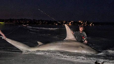 Episches Battle! Australier fängt Monster-Hai mit der Angel - Foto: Facebook/Frontline Fishing