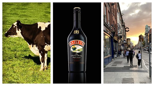 Kuh, Flasche Baileys, Straße in Dublin - Foto: Männersache, IMAGO / Shotshop