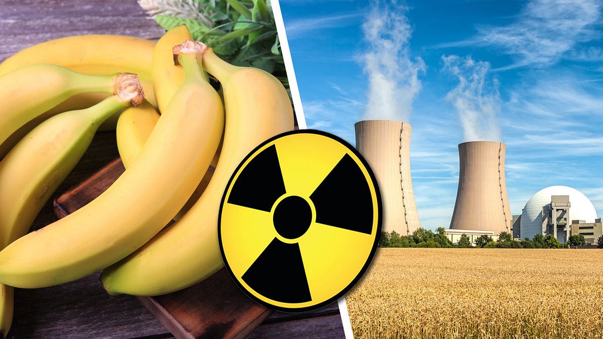 Bananen sind schädlicher als ein Atomkraftwerk