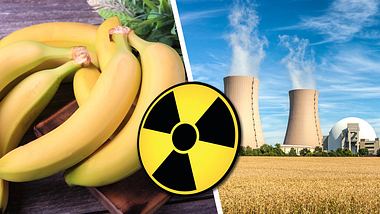 Bananen sind schädlicher als ein Atomkraftwerk - Foto: iStock / -1001-, 4nadia, querbeet