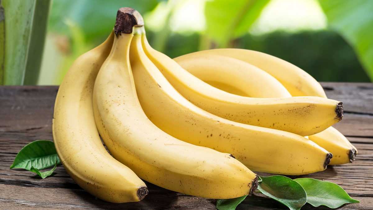 Bananenstaude