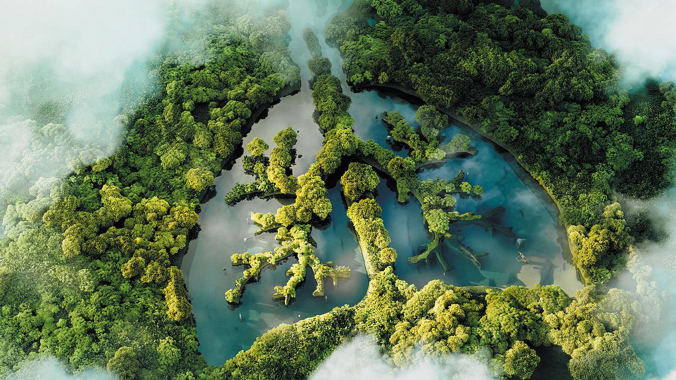 Luftaufnahme einer Landschaft aus Bäumen und Wasser