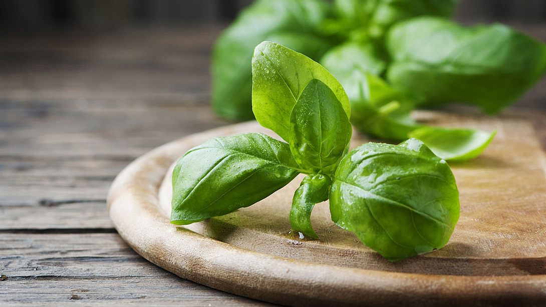 Basilikum macht aus (fest) jeder Mahlzeit einen Genuss - Foto: iStock / OcsanaDen