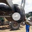 In Brasilien haben Baurabeiter eine 400-Kilo-schwere Anakonda entdeckt - Foto: YouTube