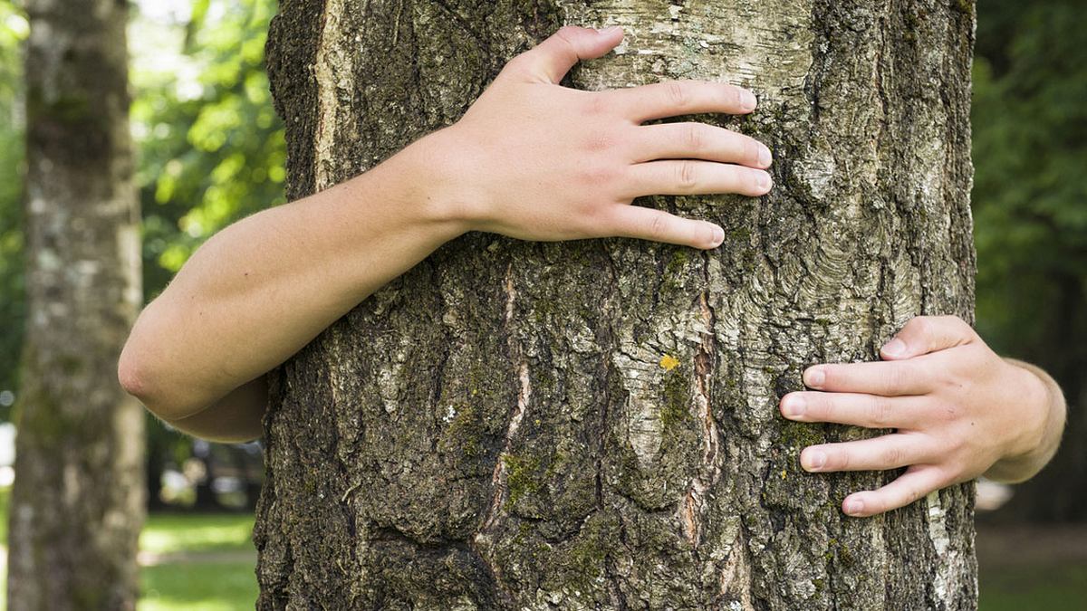 Die Liebe zur Natur