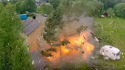 Das passiert, wenn Männer Bäume mit Sprengstoff fällen - Foto: Screenshot YouTube/NRKViten