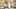Beelitz-Heilstätten: Die Geisterklinik vor den Toren Berlins