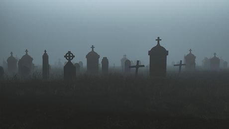 Friedhof im Nebel  - Foto: iStock / gremlin