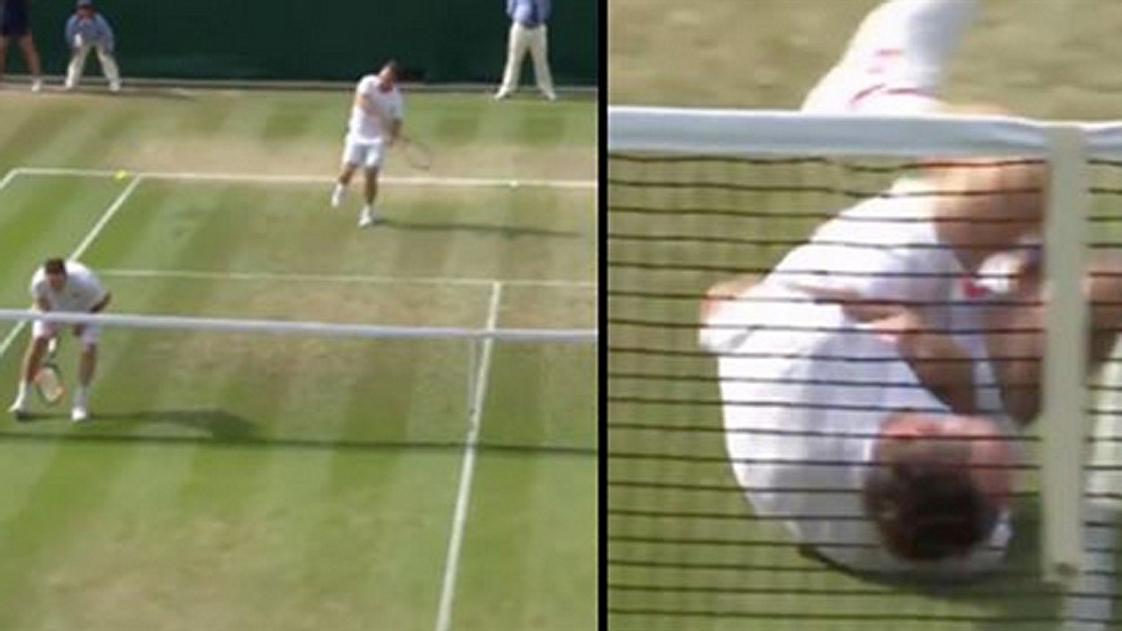 TennisProfi wird von Ball getroffen seine Reaktion erobert die Welt