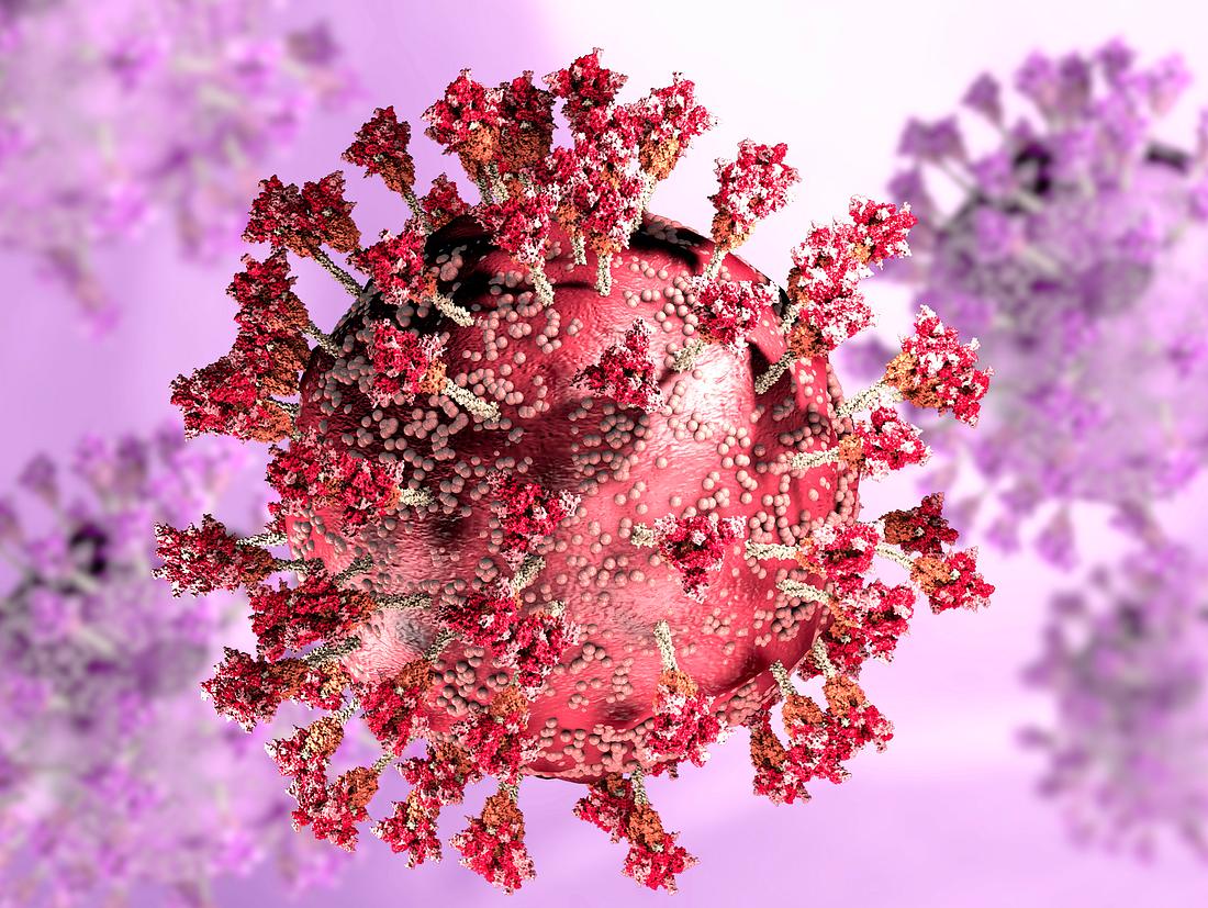 Borna-Virus in Deutschland