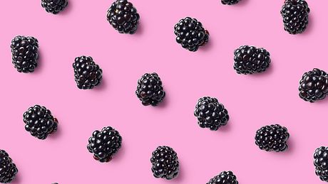 Brombeeren vor rosa Hintergrund - Foto: iStock / balbaz