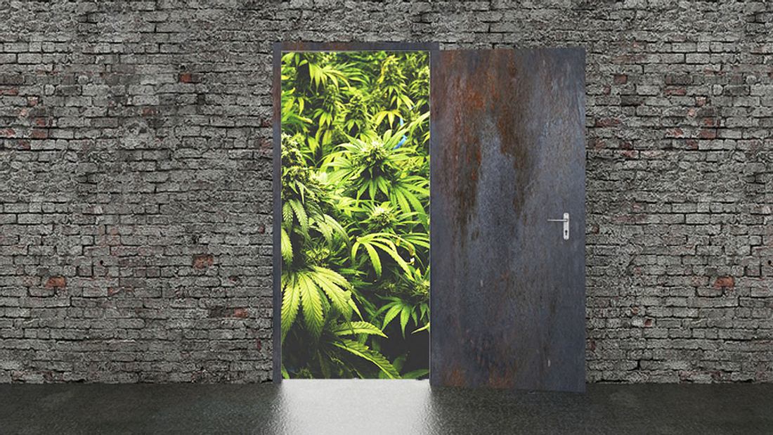 Cannabis illegal in der Wohnung