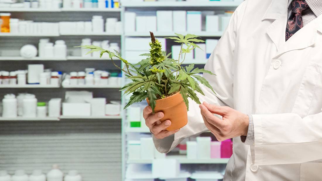 In Köln könnte es schon bald Cannabis in Apotheken geben In Köln könnte es schon bald Cannabis in Apotheken geben