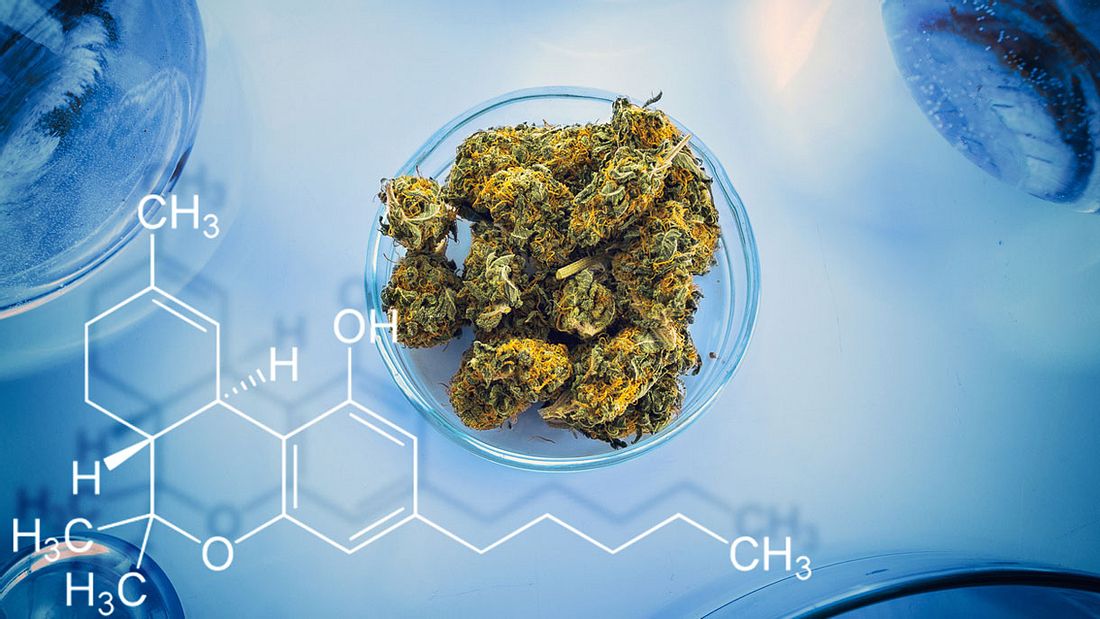 Cannabis im Labor Cannabis im Labor
