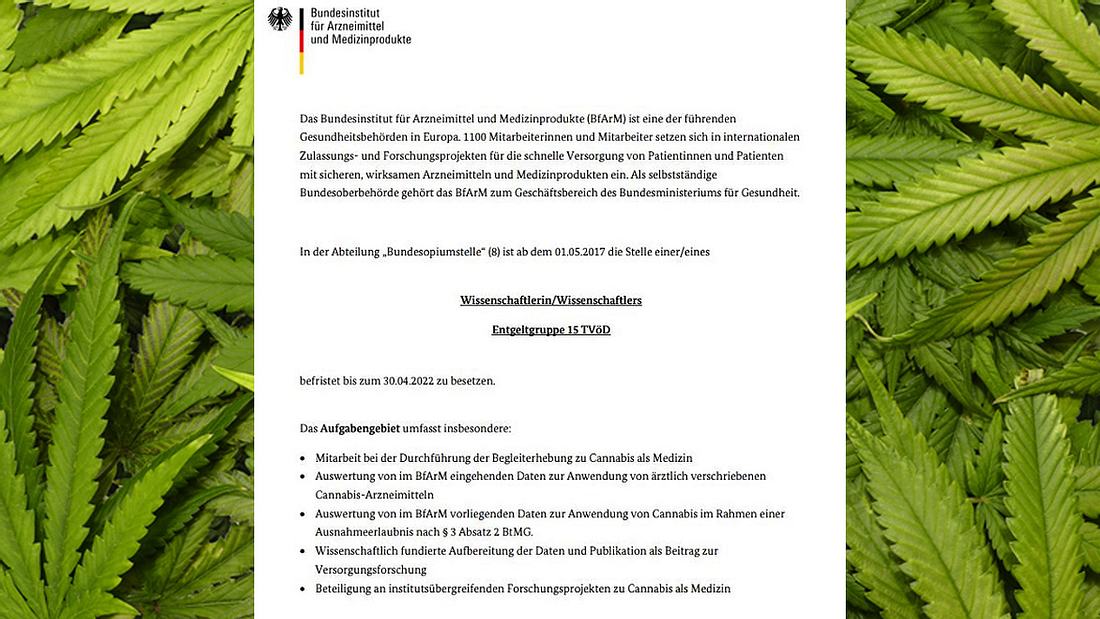 Bundesinstitut sucht Cannabis-Experten
