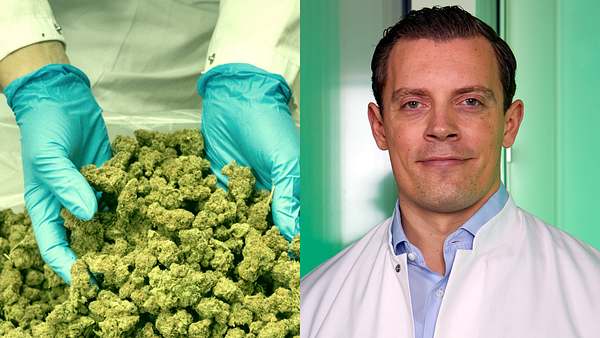 Cannabis-Blüten, Dr. med. Julian Wichmann - Foto: IMAGO / Torsten Leukert ;  (Bearbeitung & Collage: Männersache)