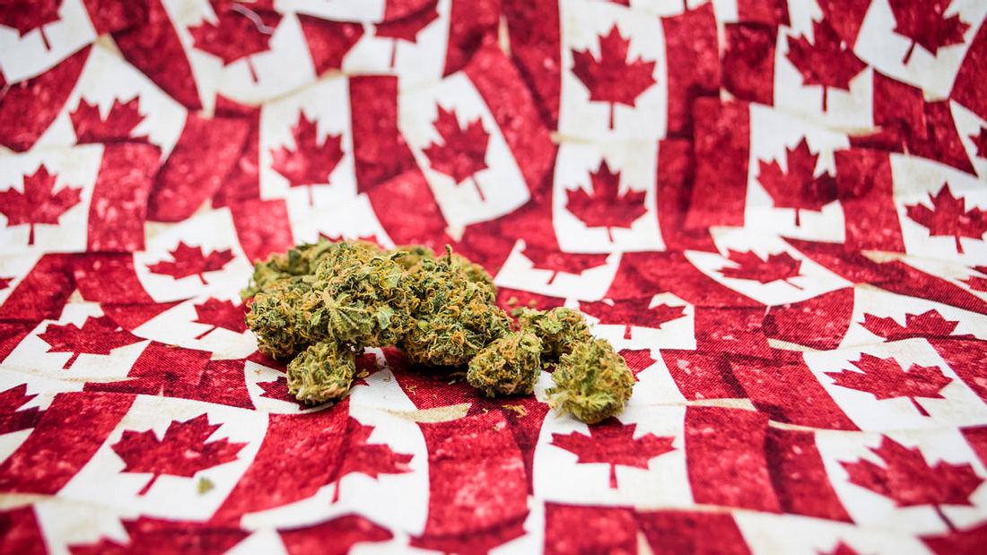 Kanada legalisiert Cannabis-Konsum zu Erholungszwecken Kanada legalisiert Cannabis-Konsum zu Erholungszwecken