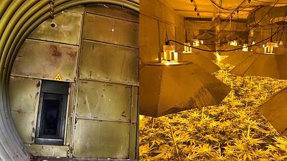 Die Polizei von Wiltshire hat in einem Atombunker eine gigantische Cannabis-Fabrik entdeckt - Foto: iStock/WiltshirePolice