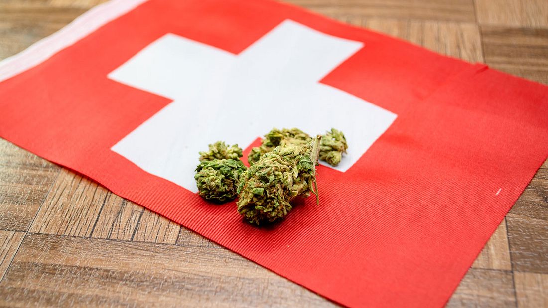 Legalize it! Auch die Schweiz will Cannabis-Gesetze lockern Legalize it! Auch die Schweiz will Cannabis-Gesetze lockern