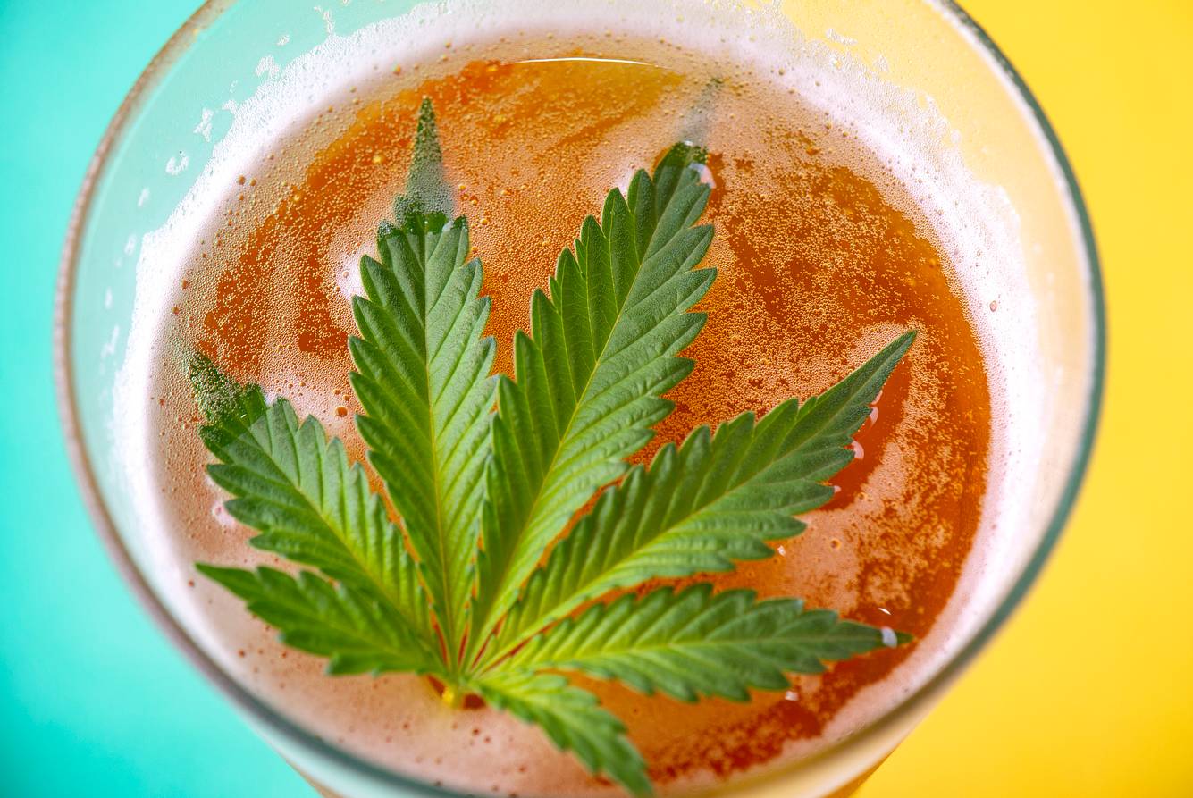 Cannabis-Blatt in Bier