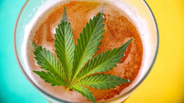 Cannabis-Blatt in Bier - Foto: iStock/rgbspace