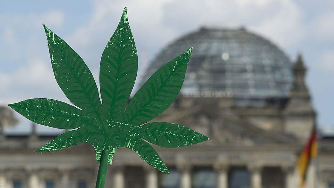 FDP will Cannabis exportieren. FDP will Cannabis exportieren.