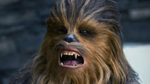 So kennt man Chewbacca - Foto: Walt Disney Studios Motion Pictures