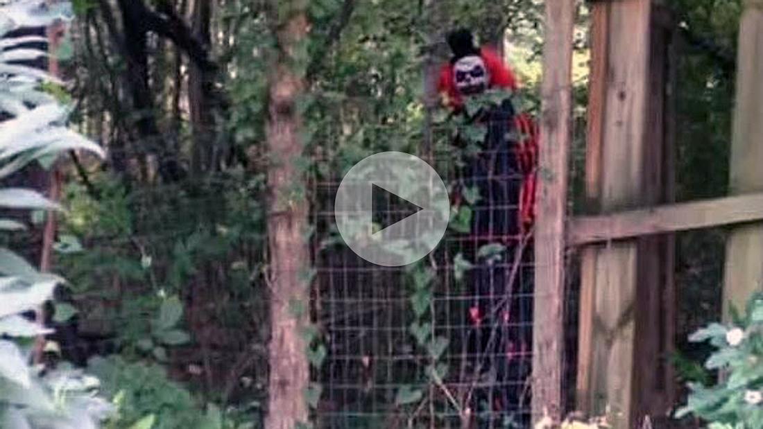 Gruseliges Video: Ein unheimlicher Clown terrorisiert seit Monaten die Bewohner des US-Bundesstaates Virginia Dieser unheimliche Clown belästigte die Bewohner des Roanoke County im US-Bundesstaat Virginia