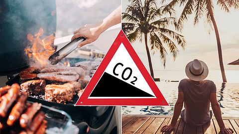 CO2-Battle: Reisen oder Fleischessen - das schadet der Natur mehr! - Foto: iStock/Animaflora, iStock/criene, iStock/anyaberkut