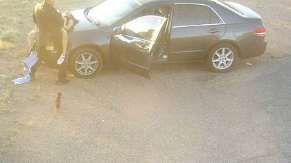 Ein US-Polizist wurde beim Sex mit einer Frau auf der Motorhaube ihres Autos gefilmt - Foto: twitter/limenews
