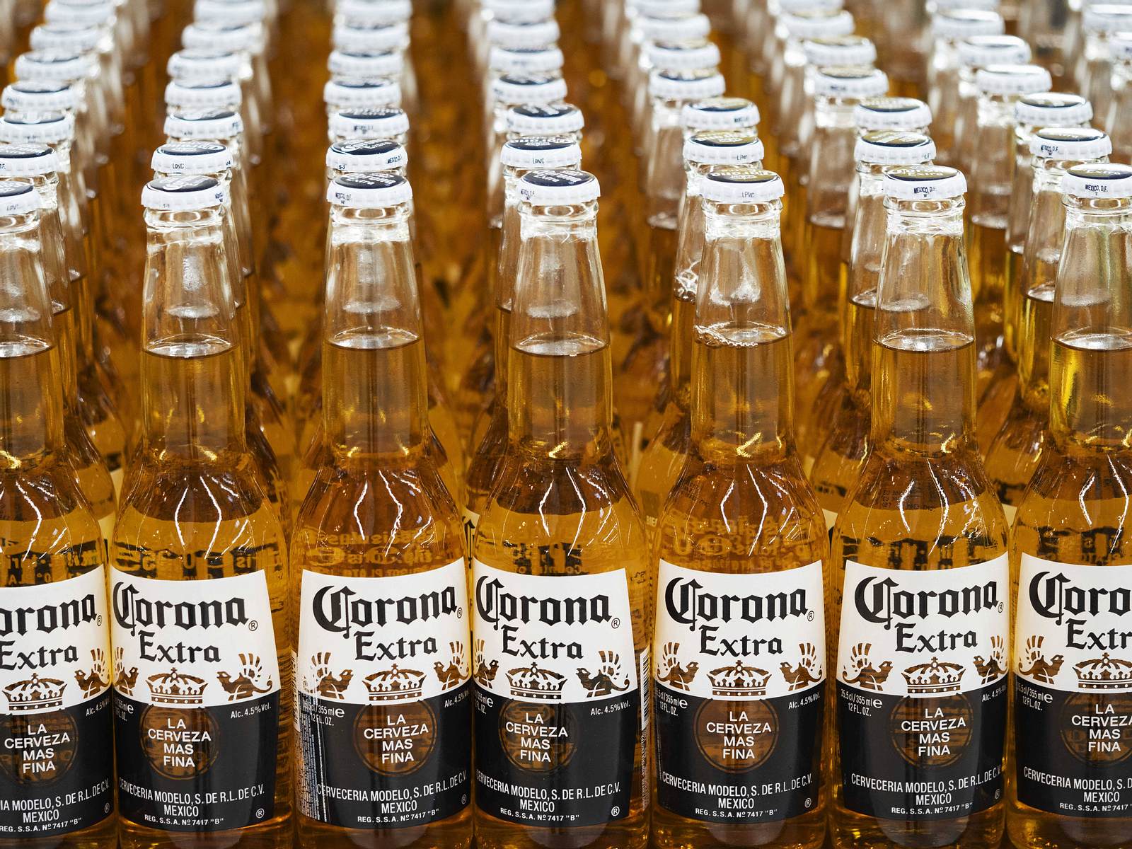 Nach Virus-Ausbruch: Hersteller von Corona-Bier machen Millionenverlust