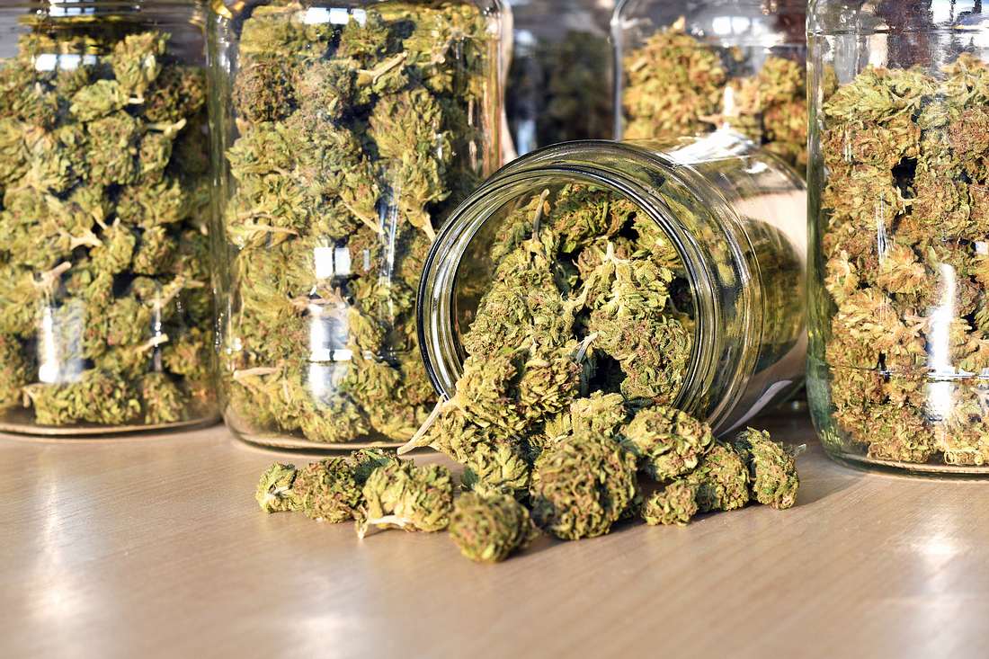 Corona-Erkrankte testen Cannabis als Medikament – erste Ergebnisse Cannabis in Gläsern