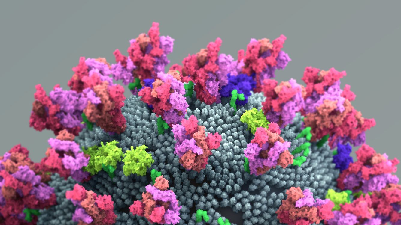 Corona-Schock: Impfstoff gegen Flucht-Mutationen unwirksam Coronavirus-Spike-Protein