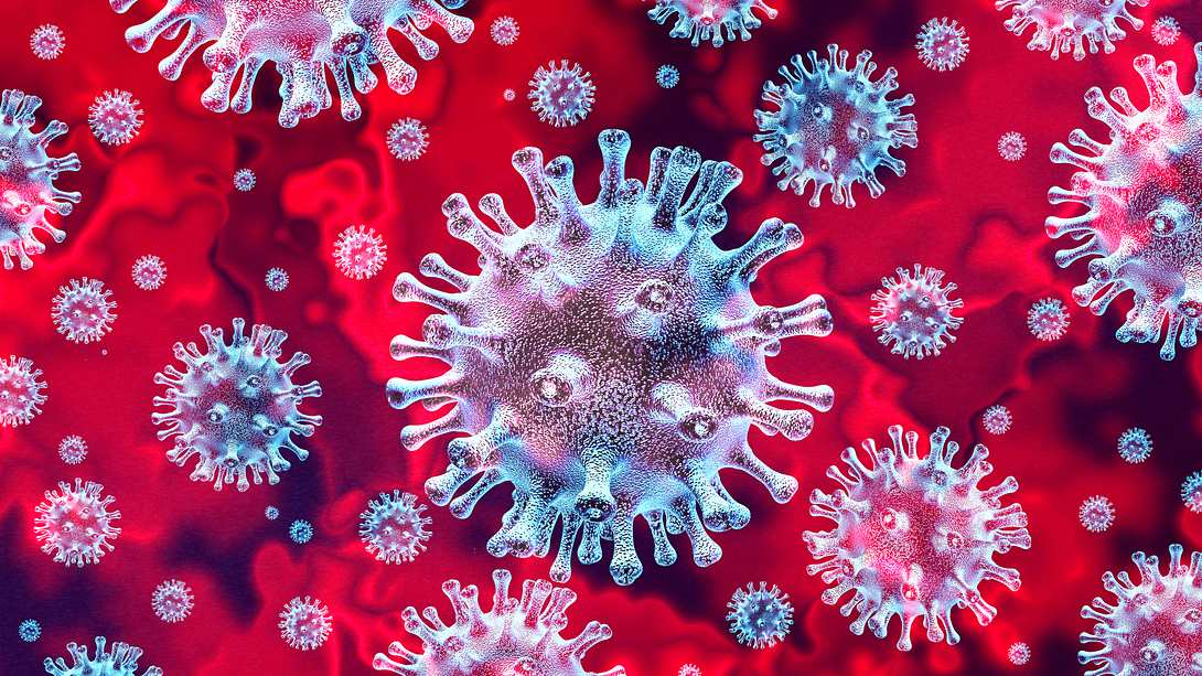 3D-Illustration des Coronavirus - Foto: iStock / wildpixel