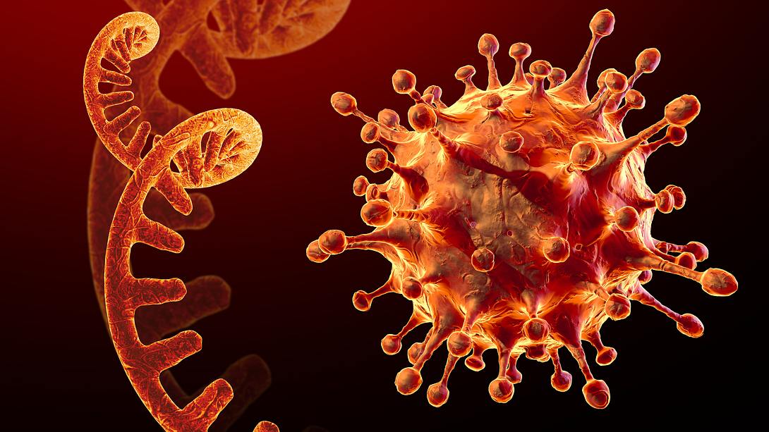 Coronavirus - Foto: iStock / CROCOTHERY