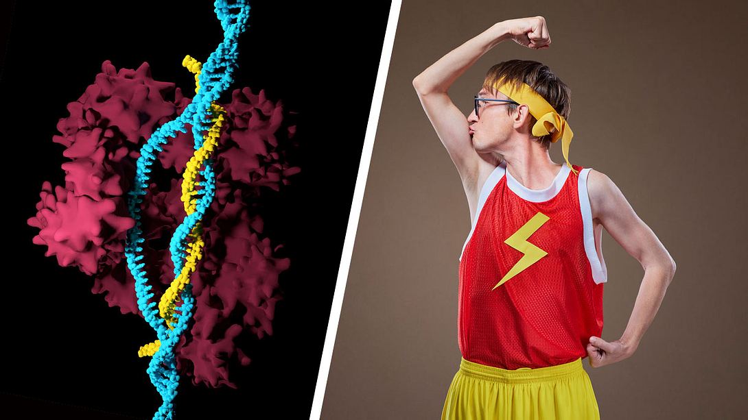 CRISPR-Cas-9-Verfahren für mehr Muskeln - Foto: iStock / Meletios Verras, Lacheev